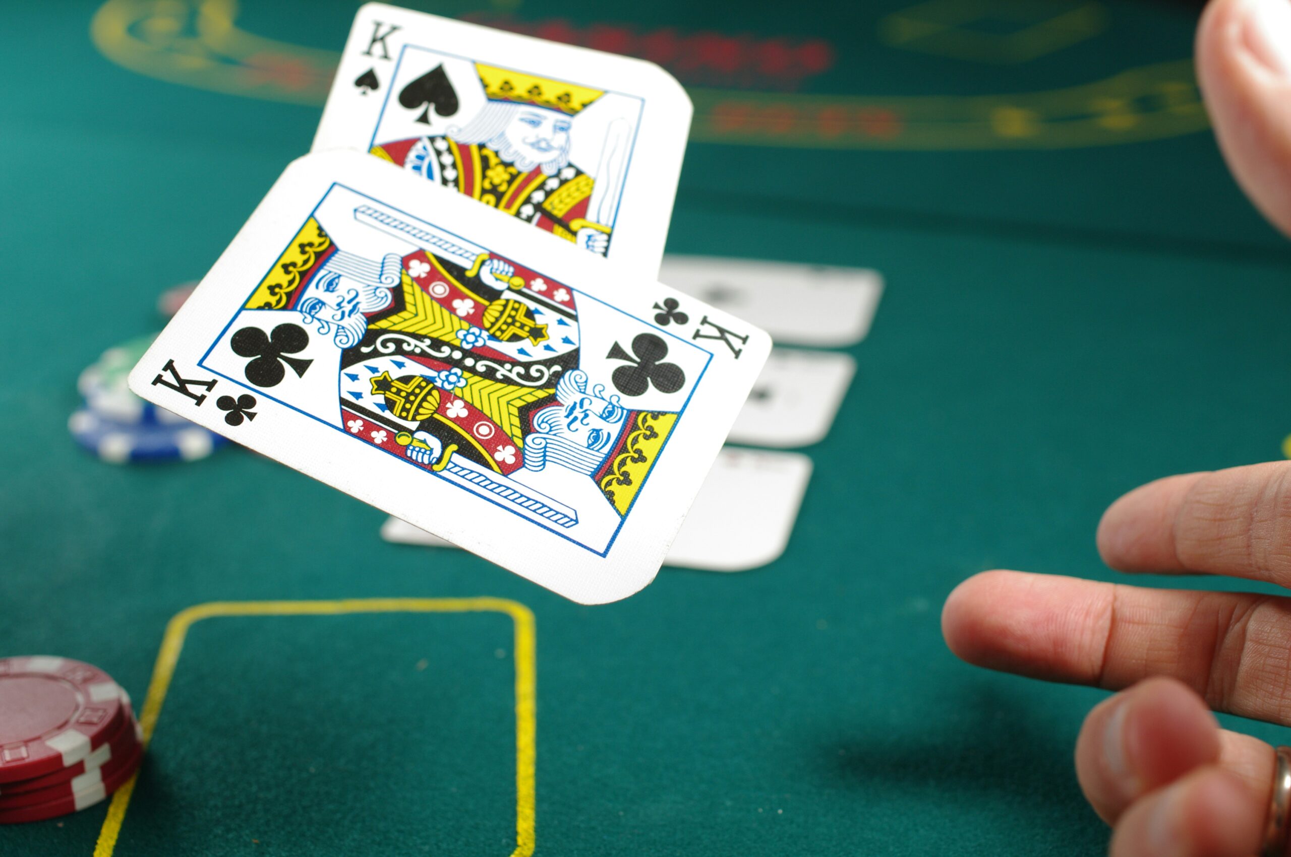 Professional Poker Player