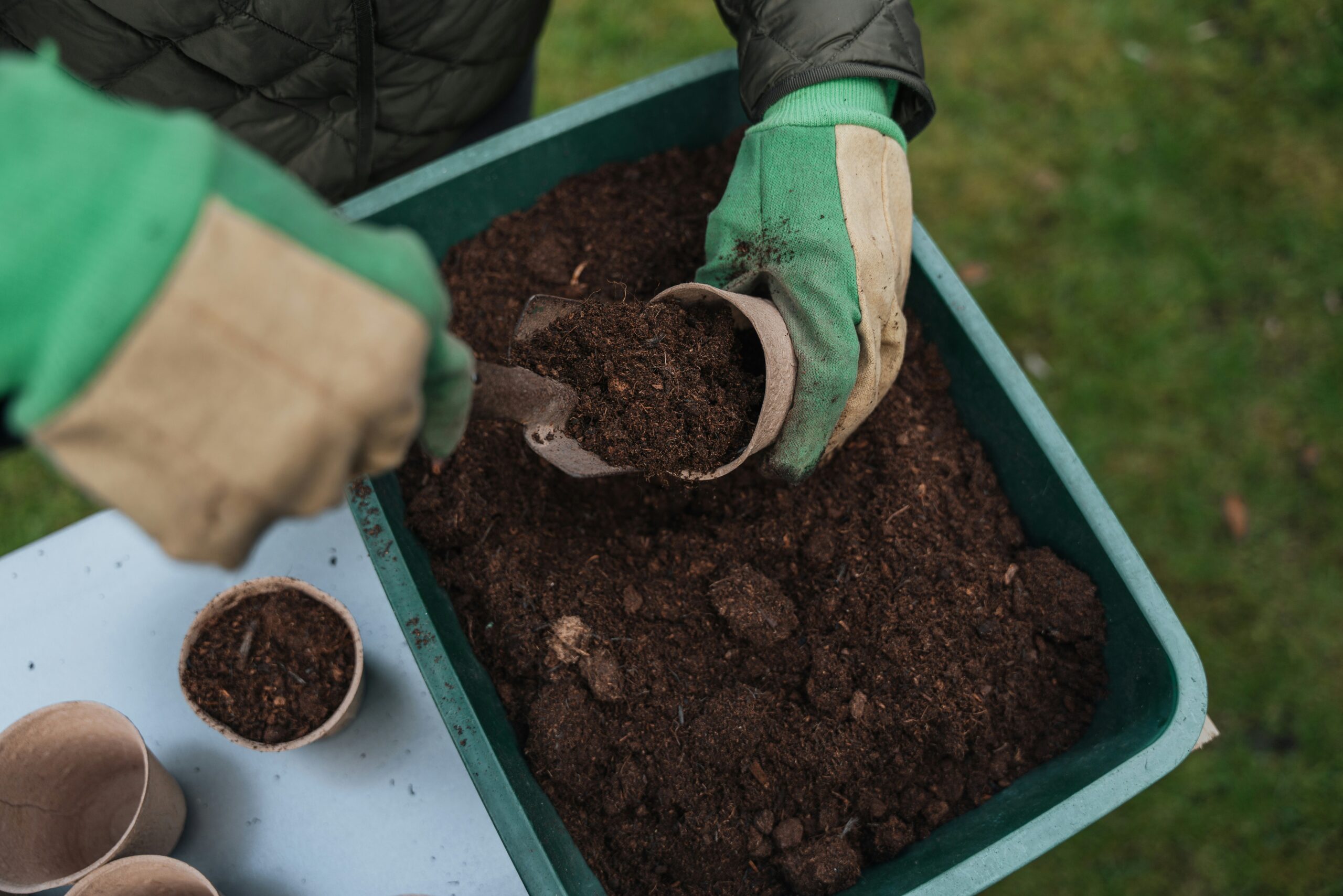 Healthy Soil